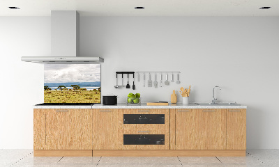 Crédence de cuisine en verre Lac Naivasha