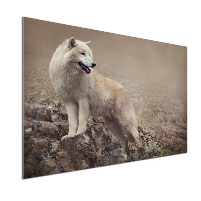 Panneau crédence cuisine Loup blanc sur un rocher