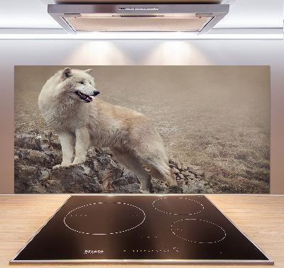 Panneau crédence cuisine Loup blanc sur un rocher