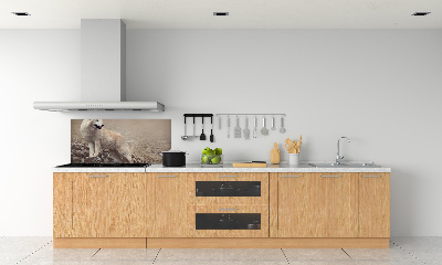 Panneau crédence cuisine Loup blanc sur un rocher