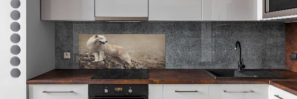 Panneau crédence cuisine Loup blanc sur un rocher