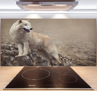 Panneau crédence cuisine Loup blanc sur un rocher