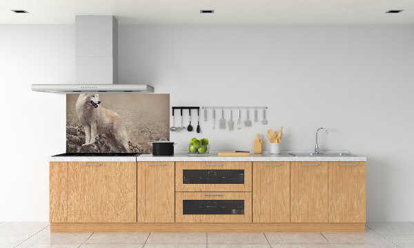 Panneau crédence cuisine Loup blanc sur un rocher
