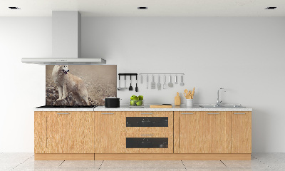 Panneau crédence cuisine Loup blanc sur un rocher