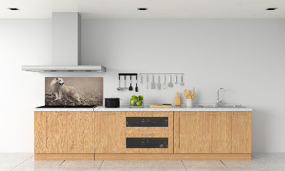 Panneau crédence cuisine Loup blanc sur un rocher
