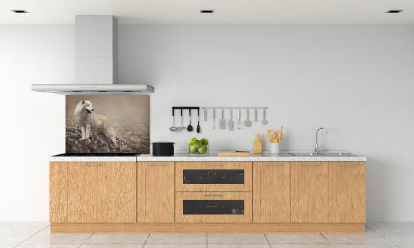 Panneau crédence cuisine Loup blanc sur un rocher