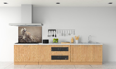 Panneau crédence cuisine Loup blanc sur un rocher
