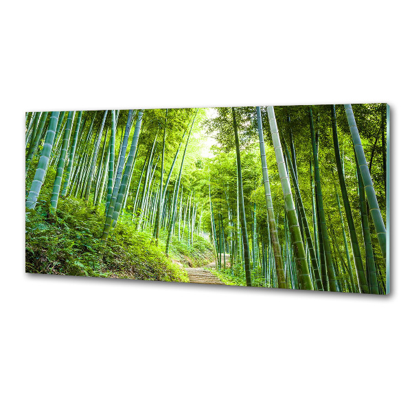 Crédence cuisine en verre trempé Forêt de bambous