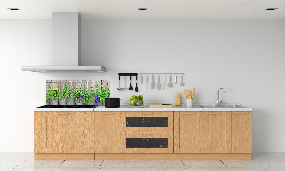 Crédence de cuisine Herbes sur une ficelle