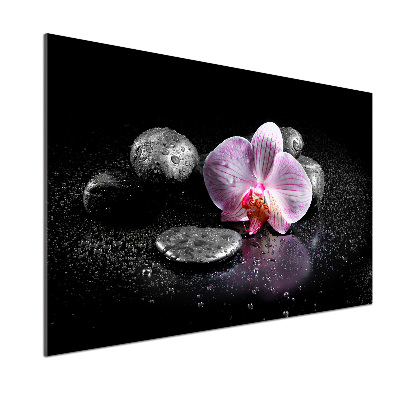 Crédence cuisine en verre trempé Orchidée