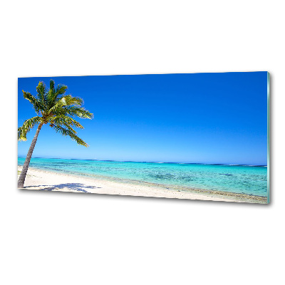 Crédence cuisine en verre trempé Plage tropicale