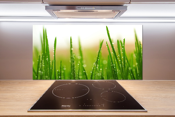 Crédence en verre Herbe