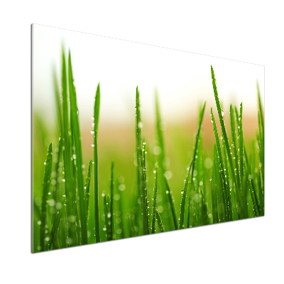 Crédence en verre Herbe