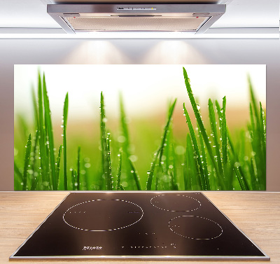 Crédence en verre Herbe