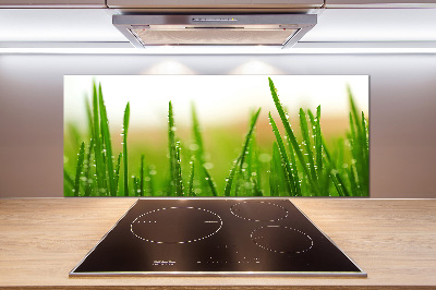 Crédence en verre Herbe