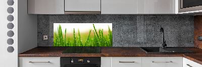 Crédence en verre Herbe