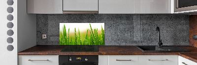 Crédence en verre Herbe