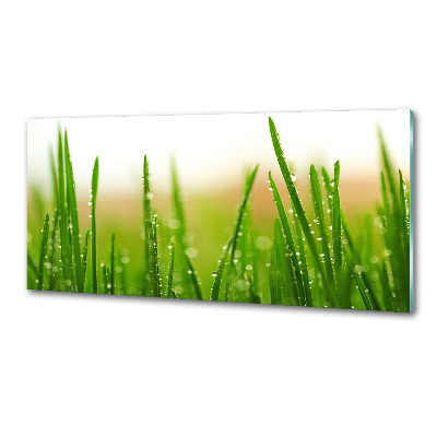 Crédence en verre Herbe