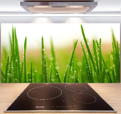 Crédence en verre Herbe