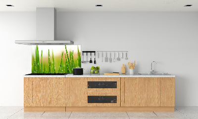Crédence en verre Herbe