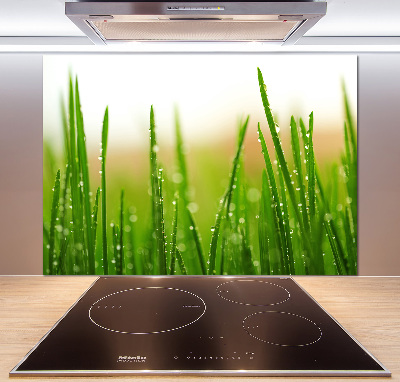 Crédence en verre Herbe