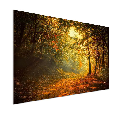 Crédence en verre Forêt d'automne