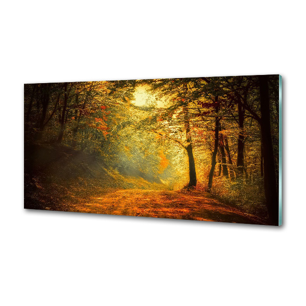 Crédence en verre Forêt d'automne