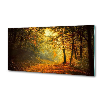 Crédence en verre Forêt d'automne