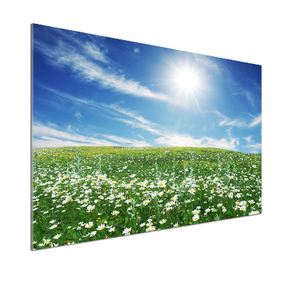 Panneau pour cuisine Prairie