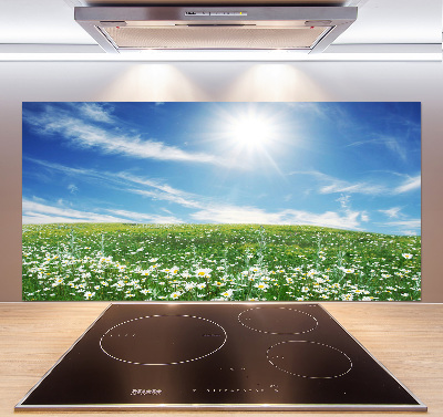 Panneau pour cuisine Prairie