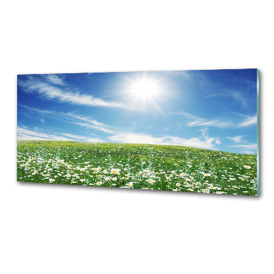 Panneau pour cuisine Prairie