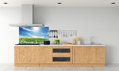 Panneau pour cuisine Prairie