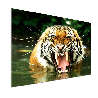 Crédence en verre avec motif Tigre rugissant