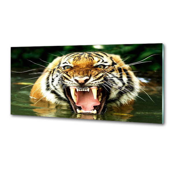 Crédence en verre avec motif Tigre rugissant