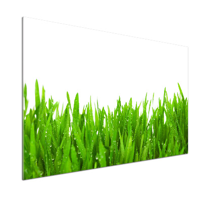 Crédence en verre trempé Herbe