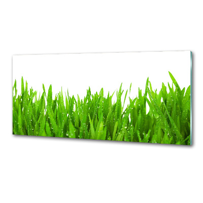 Crédence en verre trempé Herbe