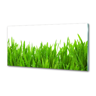 Crédence en verre trempé Herbe
