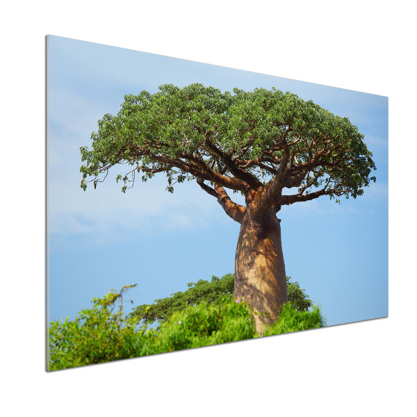 Panneau pour cuisine Baobab
