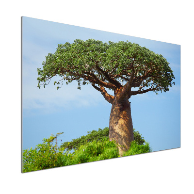 Panneau pour cuisine Baobab