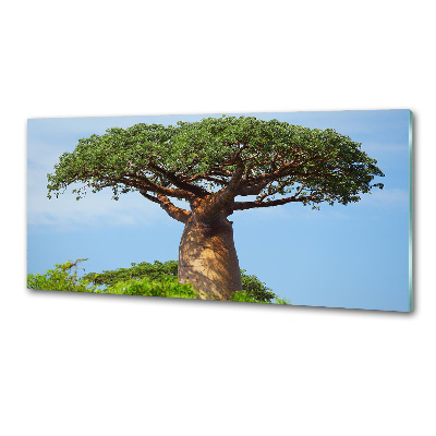 Panneau pour cuisine Baobab