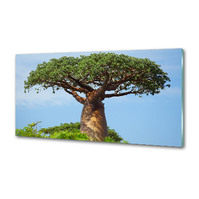 Panneau pour cuisine Baobab