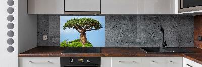 Panneau pour cuisine Baobab