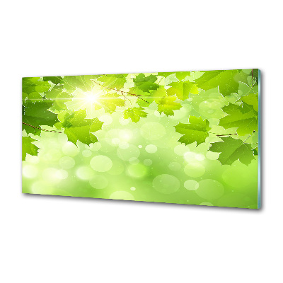 Panneau crédence cuisine Feuilles de châtaignier