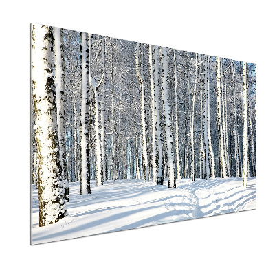 Crédence de cuisine en verre Forêt en hiver