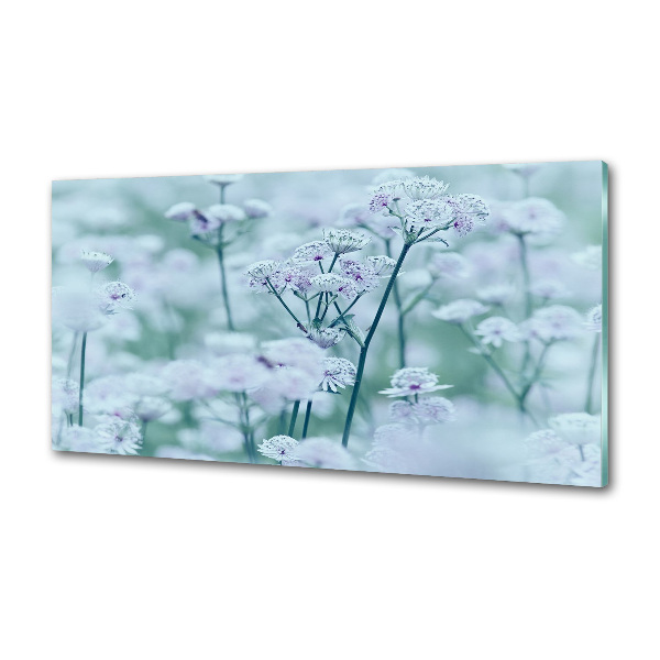 Crédence cuisine en verre trempé Rowanberry