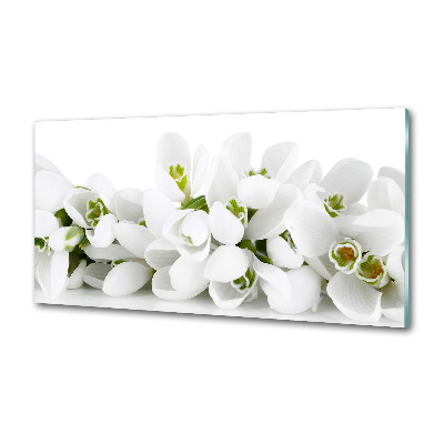 Crédence cuisine en verre Perce-neige