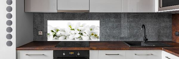 Crédence cuisine en verre Perce-neige