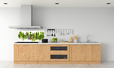 Crédence en verre avec motif Herbes sur une ficelle