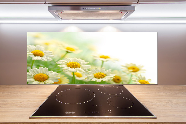 Panneau pour cuisine Marguerites
