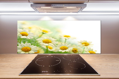 Panneau pour cuisine Marguerites